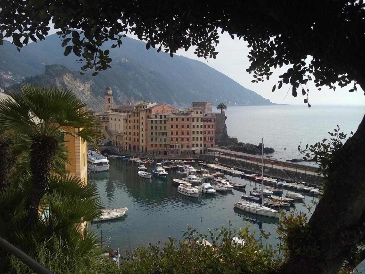 Casa Teresina A Camogli 아파트 외부 사진
